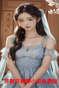 许默许婉婷小说免费阅读