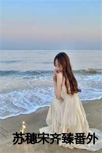 苏穗宋齐臻番外