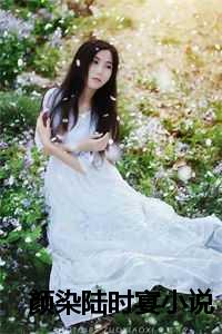 颜染陆时宴小说