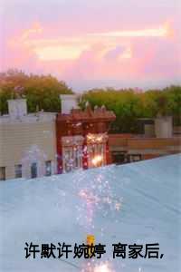 许默许婉婷 离家后,父母追子火葬场了