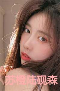 苏橙陆砚森小说