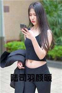 陆司羽颜暖免费