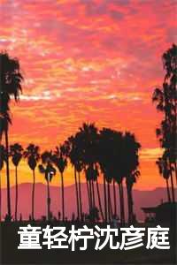 童轻柠沈彦庭