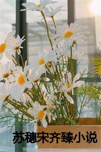 苏穗宋齐臻小说