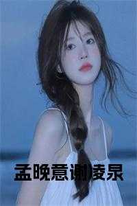 孟晚意谢凌泉书名的小说