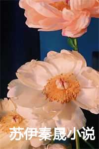 苏伊秦晟小说