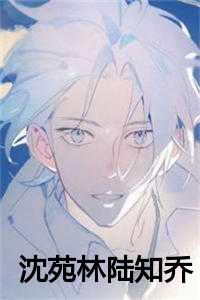 沈苑林陆知乔全文