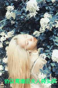 协议离婚后夫人转头改嫁了,沈曼薄司言