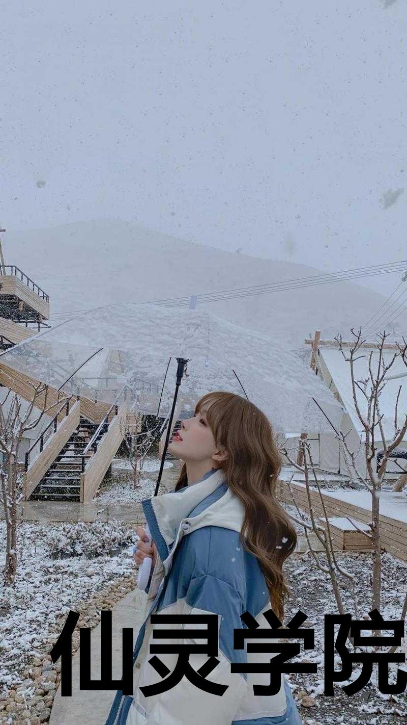 仙灵学院后续 全文