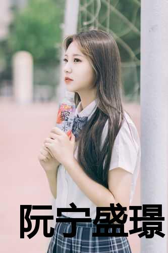 阮宁盛璟小说