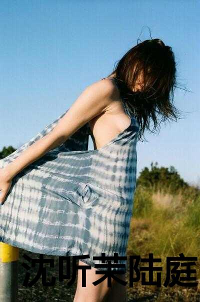 沈听茉陆庭小说