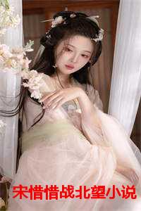宋惜惜战北望小说