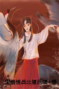 宋惜惜战北望后续+番外