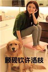 顾砚钦许洛枝全文免费