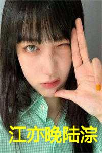 江亦晚陆淙
