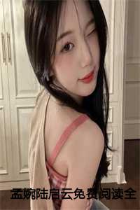 孟婉陆启云免费阅读全文