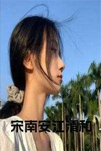 宋南安江清和小说结局