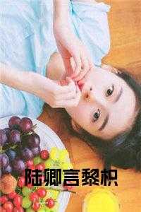 陆卿言黎枳小说