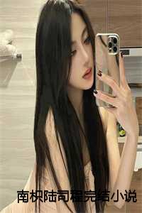 南枳陆司程完结小说