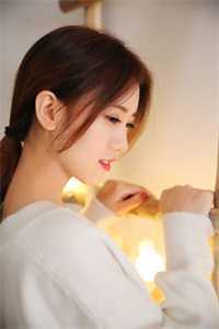 声色犬马优质全文阅读