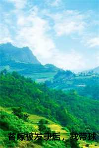 替嫁被发现后，我带球跑了：温暖傅随安