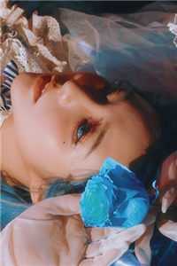 完整作品阅读京夜归稚