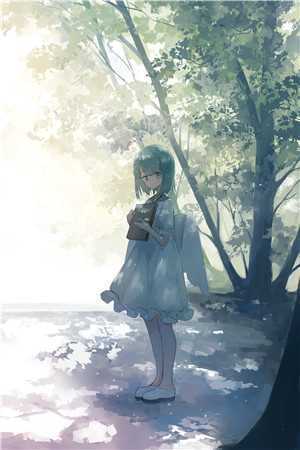 桃源古风直播，开局被大熊猫跟踪精品选集