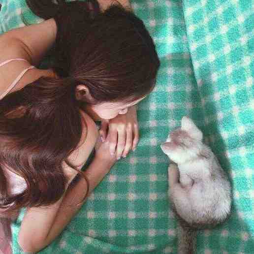 甜宠：完了完了，她坠入爱河了全集