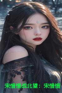宋惜惜战北望：宋惜惜战北望