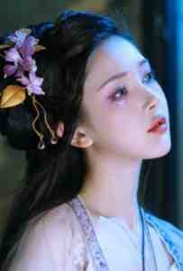 宋雪宁陆近全文免费