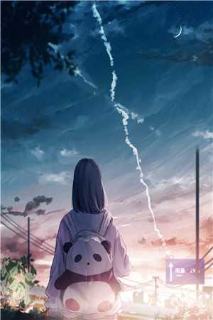 畅销巨著少帅临门