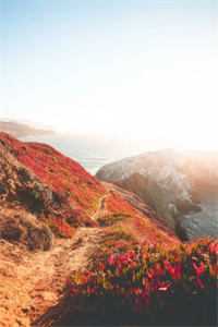 穿越：咸鱼变身大小姐，无痛当官全文阅读