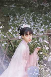 叶初傅灼已完结