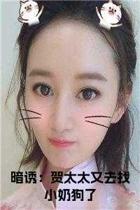 暗诱：贺太太又去找小奶狗了书名的小说