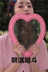 明谋暗斗在线阅读