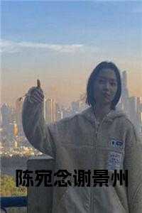 陈宛念谢景州小说全文