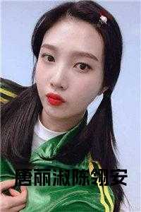 唐丽淑陈翎安小说阅读