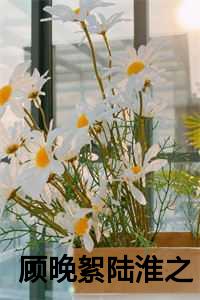 顾晚絮陆淮之