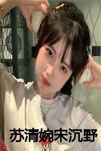 苏清婉宋沉野小说免费