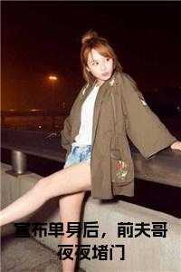 宣布单身后，前夫哥夜夜堵门小说