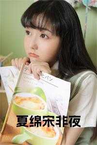 夏绵宋非夜全文