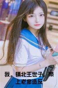 我，镇北王世子，带上老爹造反小说