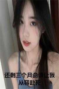 还剩三个月命请让我从容赴死书名的小说