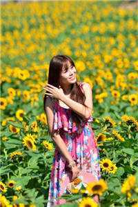 权途红颜畅销书籍