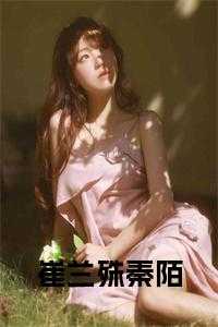 崔兰殊秦陌书名的小说