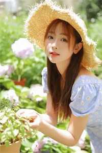 时觅傅凛鹤全面完结