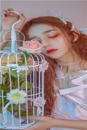 官场孽缘全文赏析