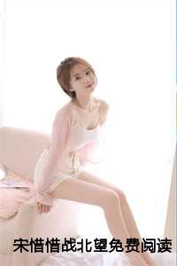 宋惜惜战北望免费阅读百度文库