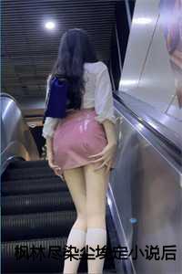 枫林尽染尘埃定小说后续