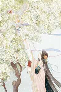 穿越后，我统御梁山新上热文